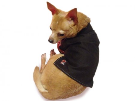 犬服-和シャツ（ダークブラウン）size S